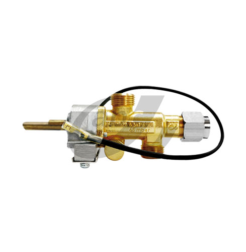 A62-I Safety Valve with Pilot and Auto-Ignition